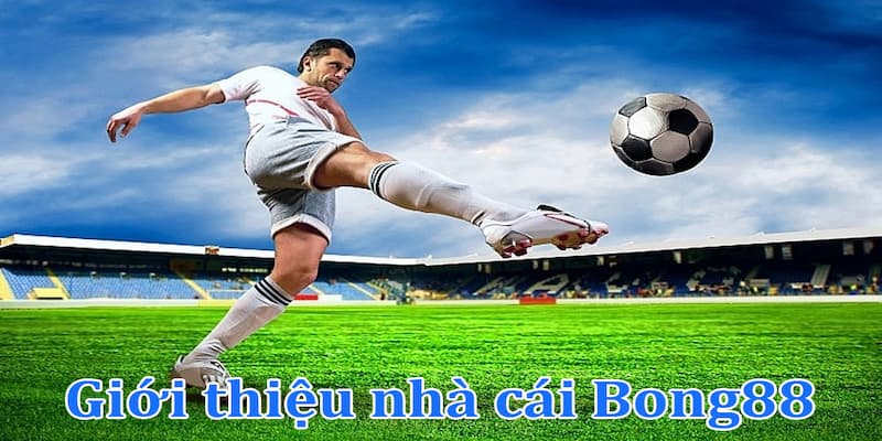 CEO Ngọc Minh và tiềm năng phát triển Bong88