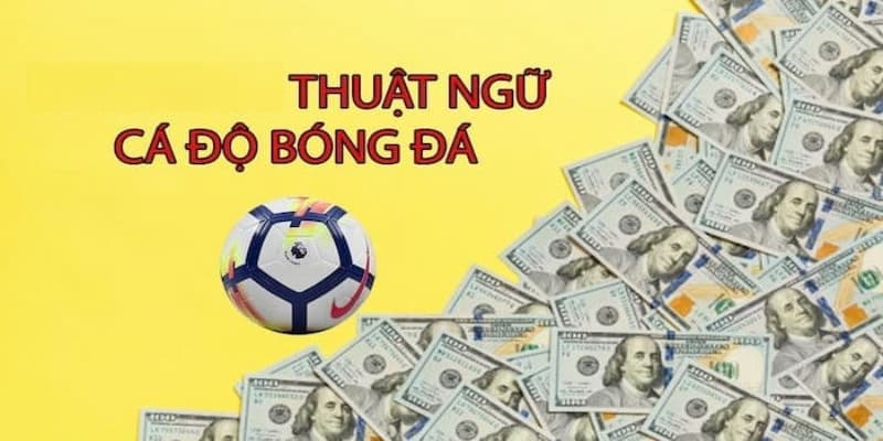 Thuật ngữ cá độ bóng đá tiếng Anh là gì?