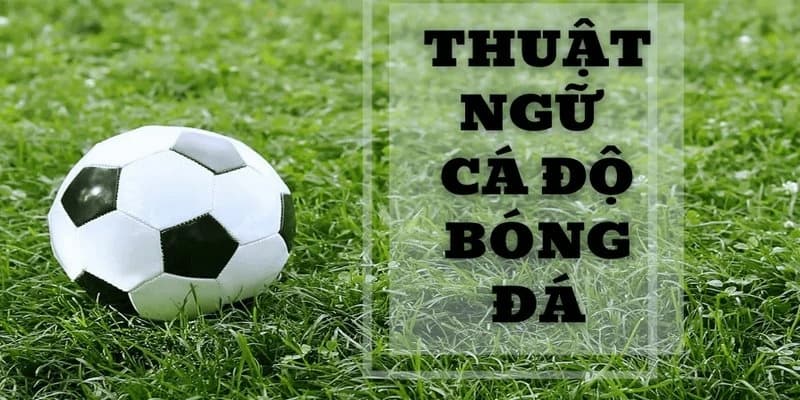 Thuật ngữ cá độ bóng đá trong các kèo chính