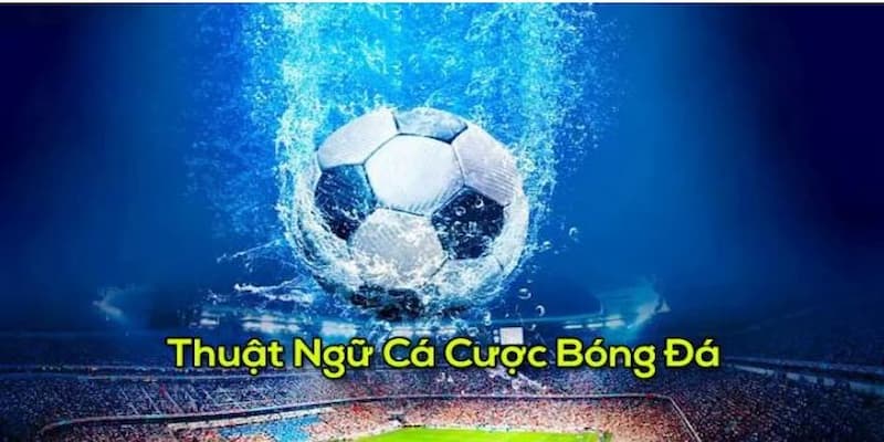 Tổng hợp các thuật ngữ cá độ bóng đá tự phát